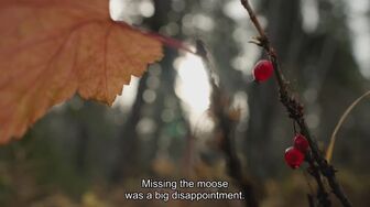 Alone S13E08 1080p ENGLISH SUBT